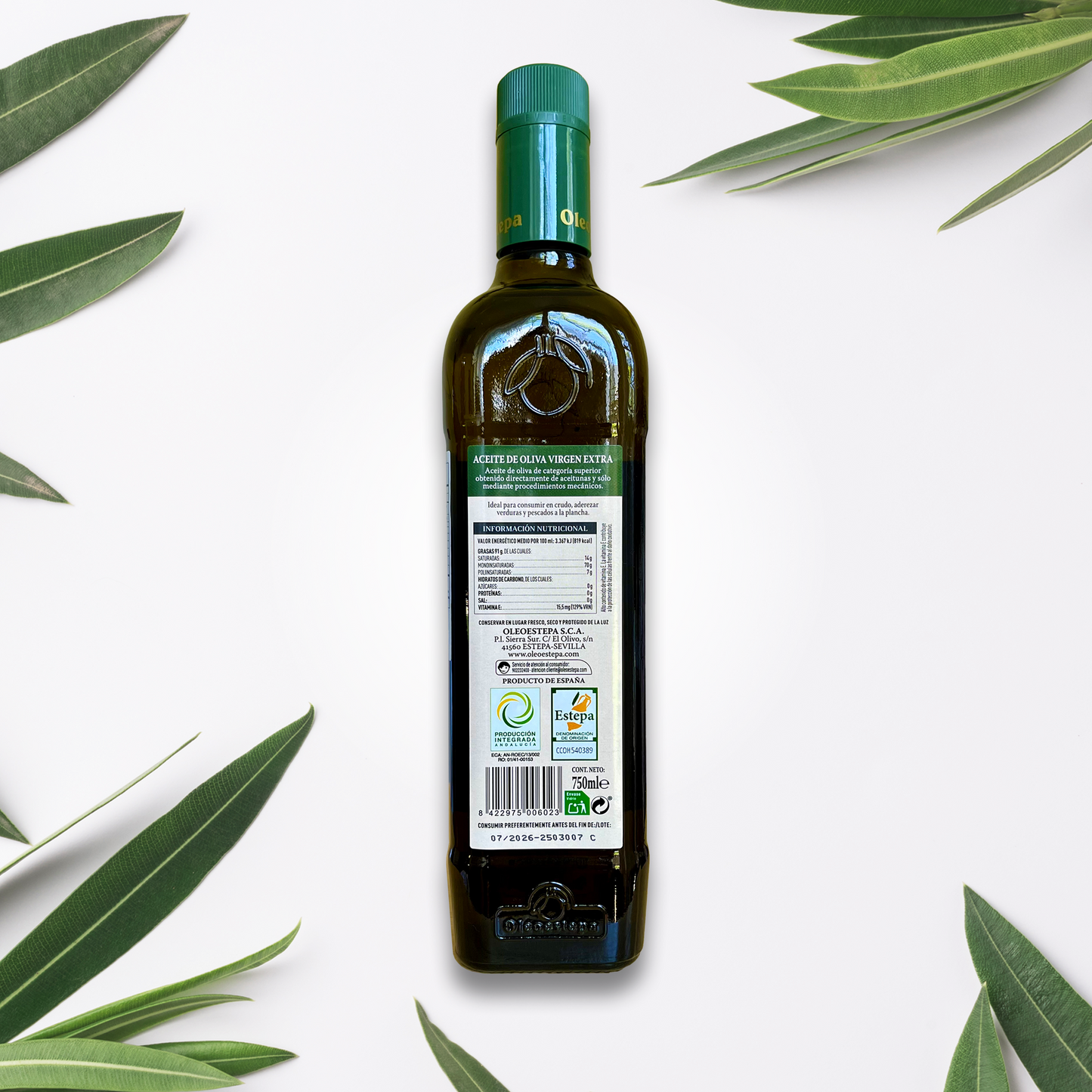 Oleoestepa Hojiblanca