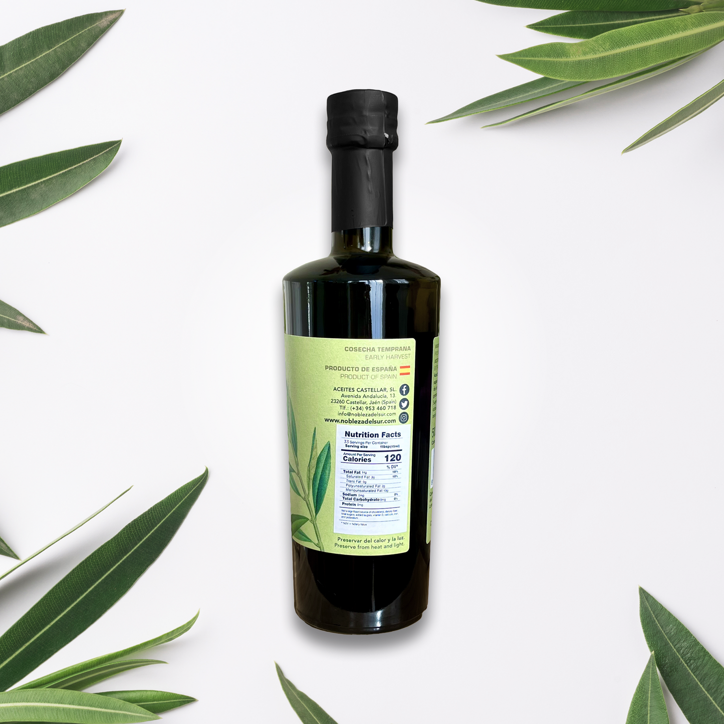 Nobleza del Sur Tradición 1640 Picual